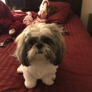 Meet your Posher, Daniellle